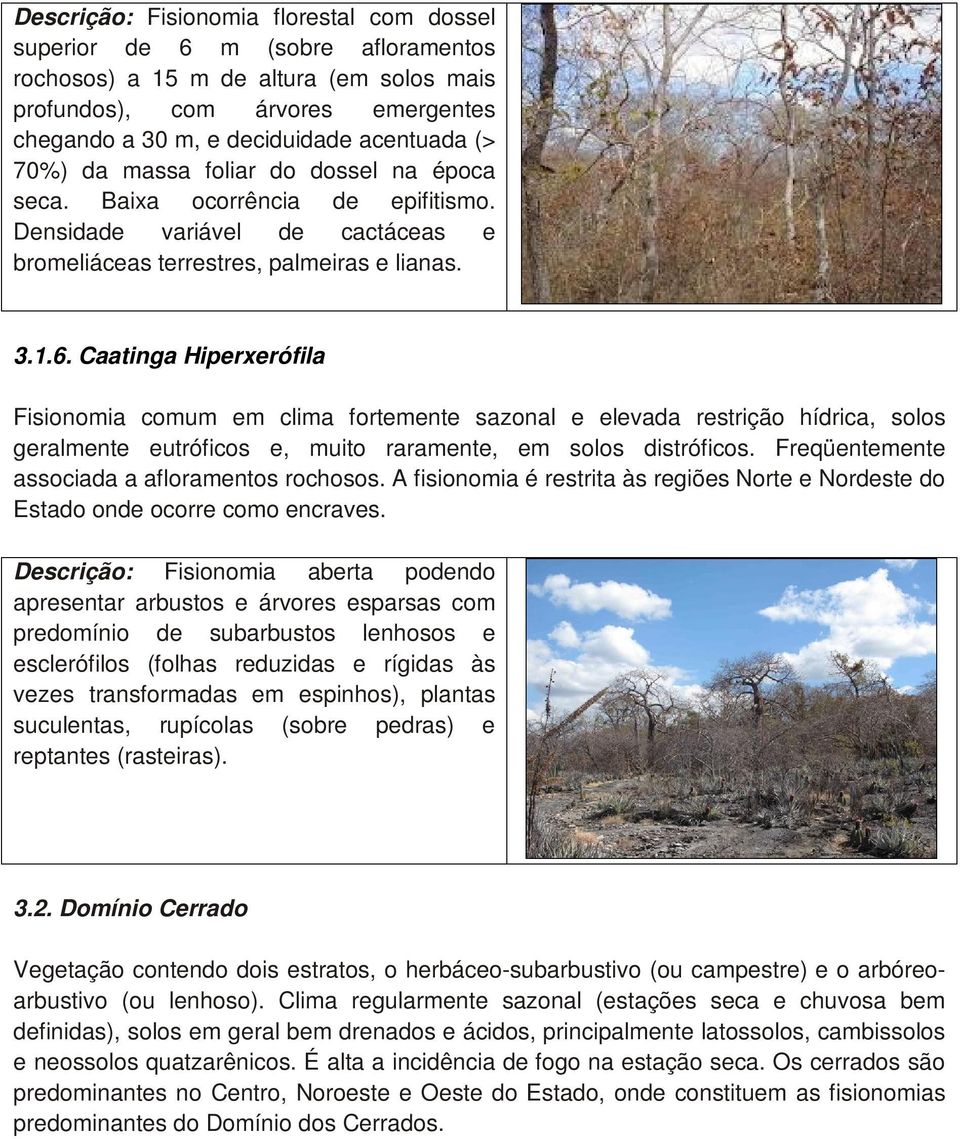 Caatinga Hiperxerófila Fisionomia comum em clima fortemente sazonal e elevada restrição hídrica, solos geralmente eutróficos e, muito raramente, em solos distróficos.