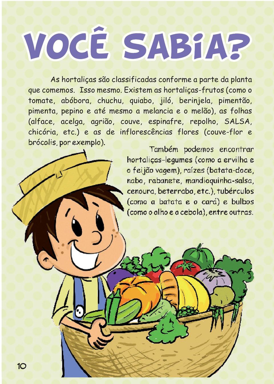 (alface, acelga, agrião, couve, espinafre, repolho, SALSA, chicória, etc.) e as de inflorescências flores (couve-flor e brócolis, por exemplo).