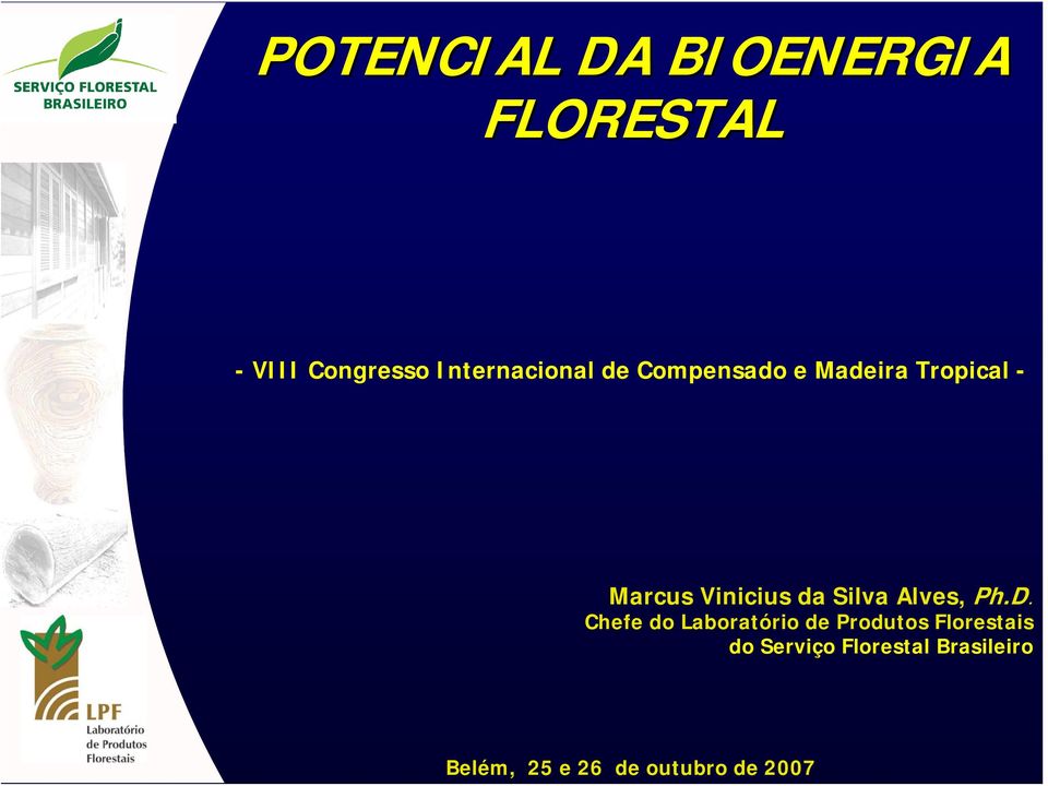 Vinicius da Silva Alves, Ph.D.