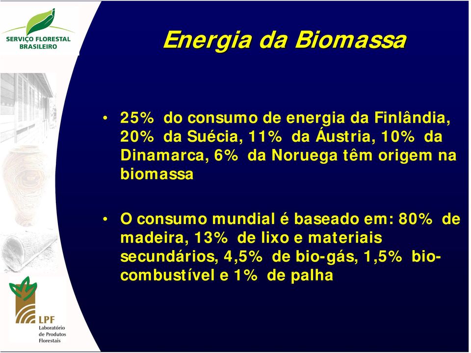 biomassa O consumo mundial é baseado em: 80% de madeira, 13% de lixo e