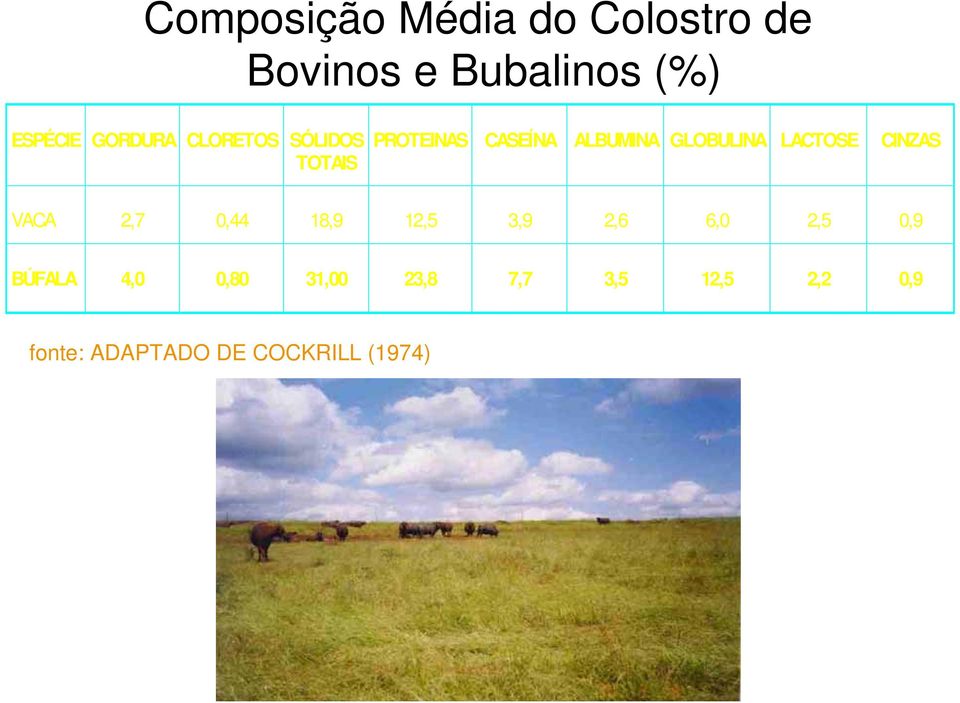 LACTOSE CINZAS VACA 2,7 0,44 18,9 12,5 3,9 2,6 6,0 2,5 0,9 BÚFALA