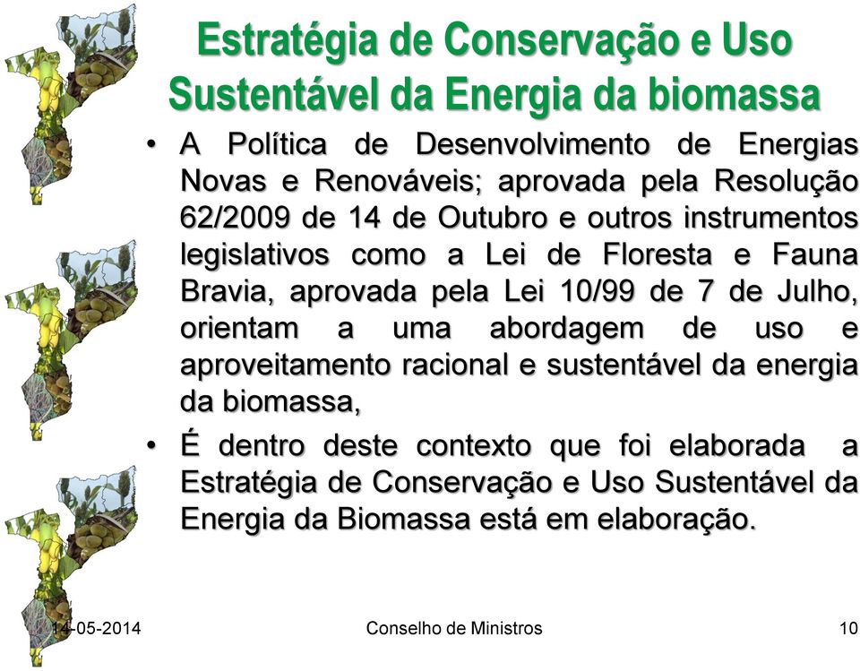 de 7 de Julho, orientam a uma abordagem de uso e aproveitamento racional e sustentável da energia da biomassa, É dentro deste contexto que