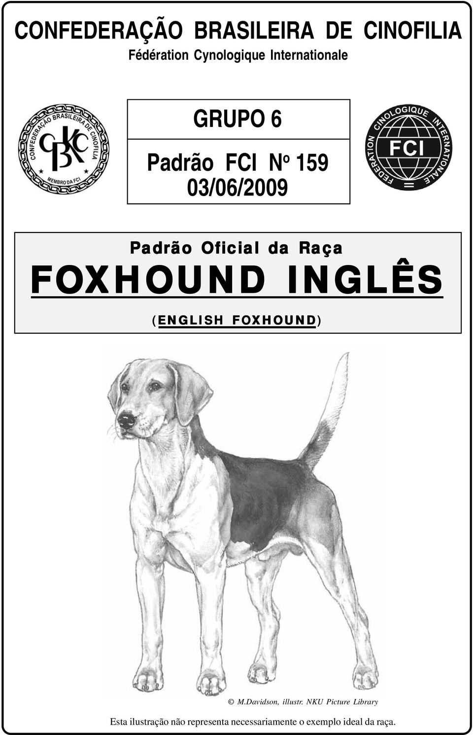 Raça FOXHOUND INGLÊS (ENGLISH FOXHOUND XHOUND) M.Davidson, illustr.