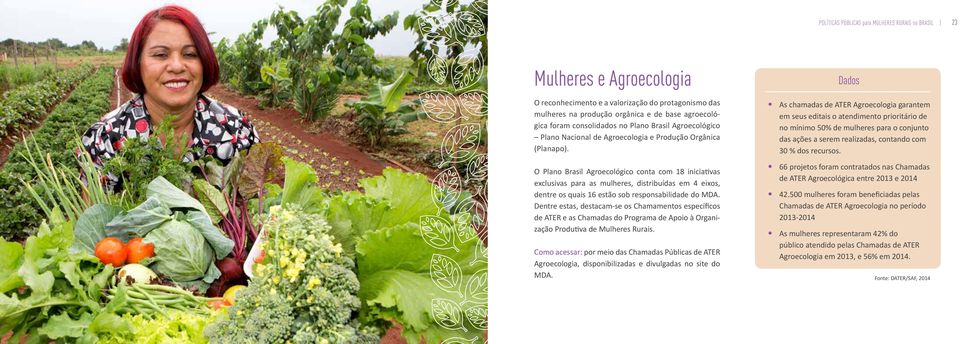 O Plano Brasil Agroecológico conta com 18 iniciativas exclusivas para as mulheres, distribuídas em 4 eixos, dentre os quais 16 estão sob responsabilidade do MDA.