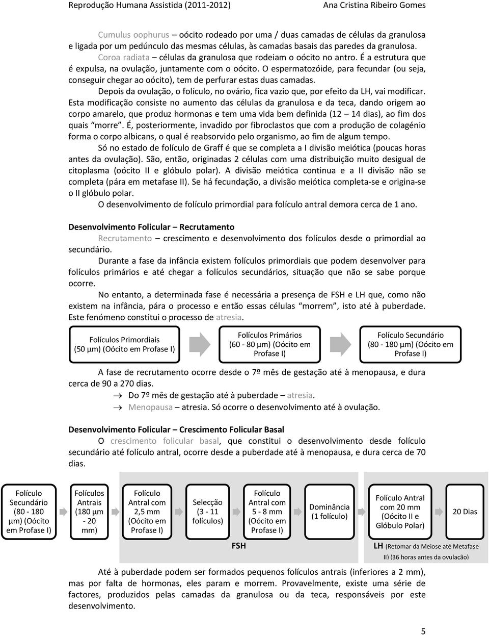 O espermatozóide, para fecundar (ou seja, conseguir chegar ao oócito), tem de perfurar estas duas camadas. Depois da ovulação, o folículo, no ovário, fica vazio que, por efeito da LH, vai modificar.