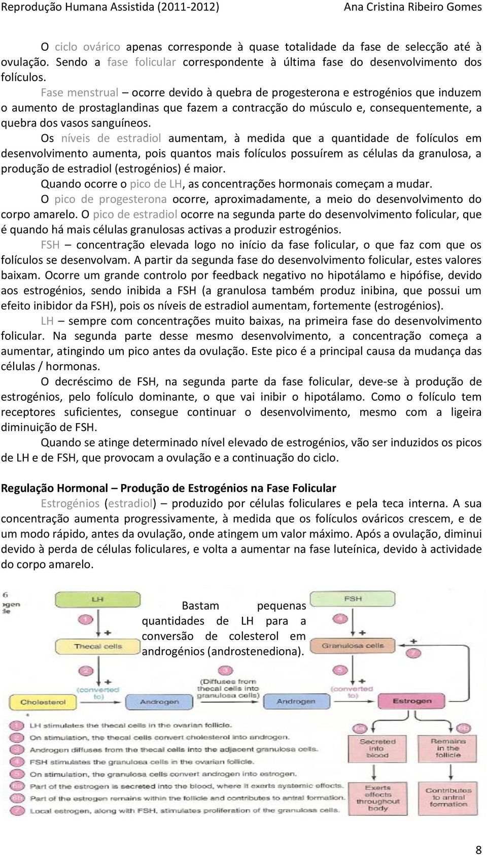 Os níveis de estradiol aumentam, à medida que a quantidade de folículos em desenvolvimento aumenta, pois quantos mais folículos possuírem as células da granulosa, a produção de estradiol