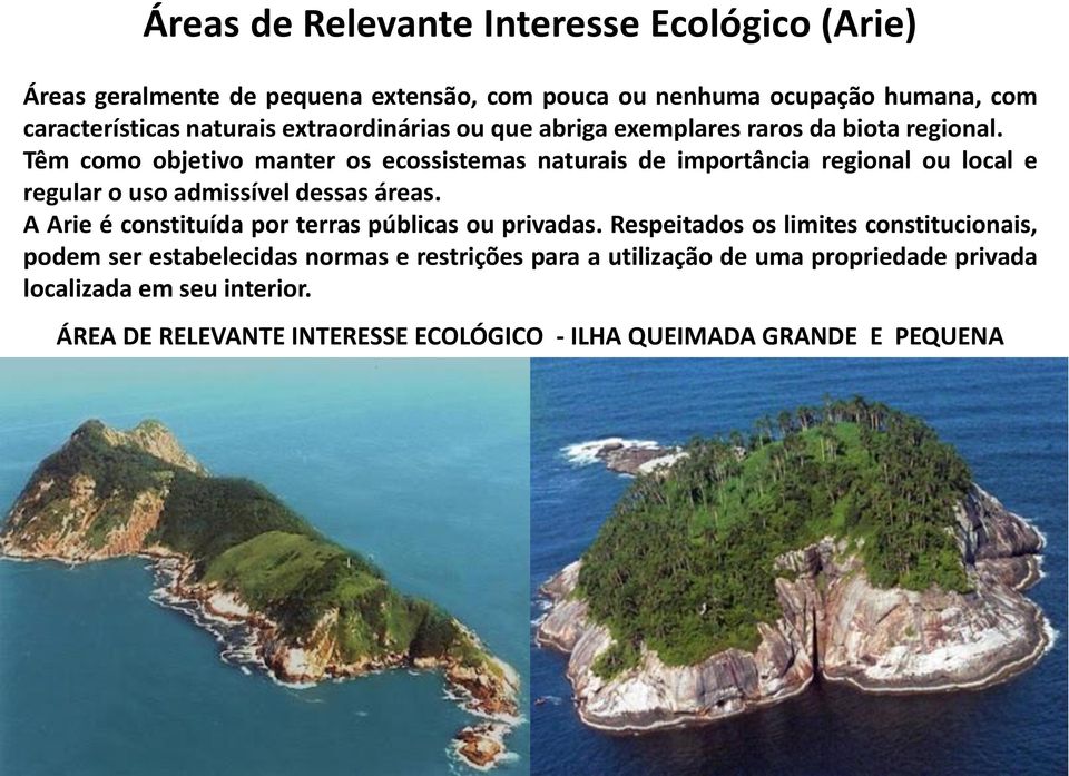 Têm como objetivo manter os ecossistemas naturais de importância regional ou local e regular o uso admissível dessas áreas.
