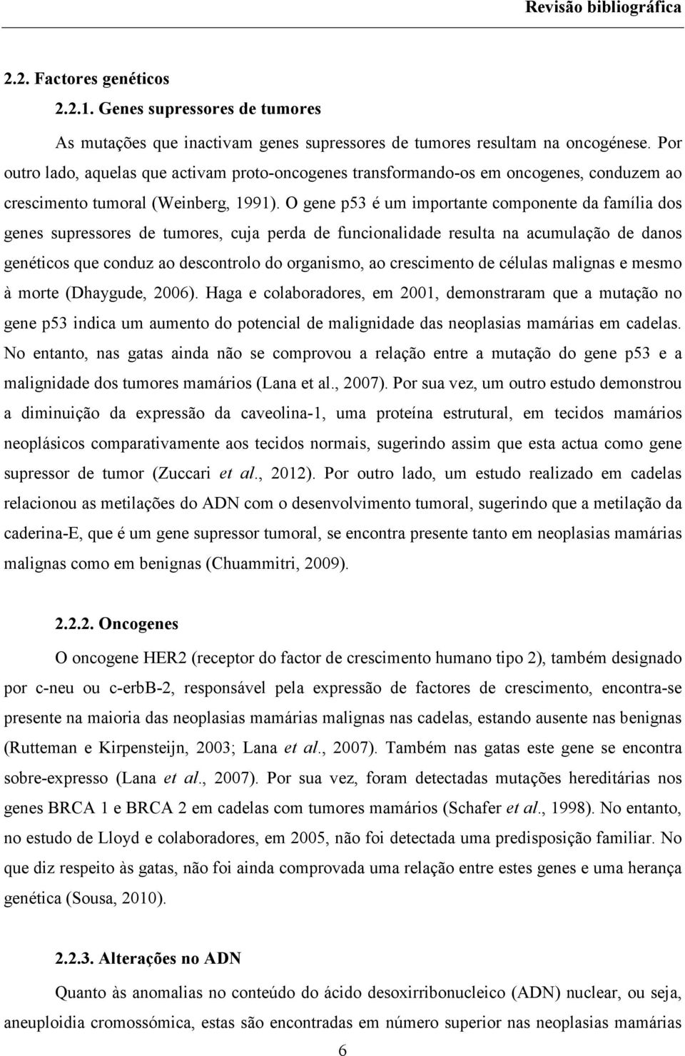 O gene p53 é um importante componente da família dos genes supressores de tumores, cuja perda de funcionalidade resulta na acumulação de danos genéticos que conduz ao descontrolo do organismo, ao