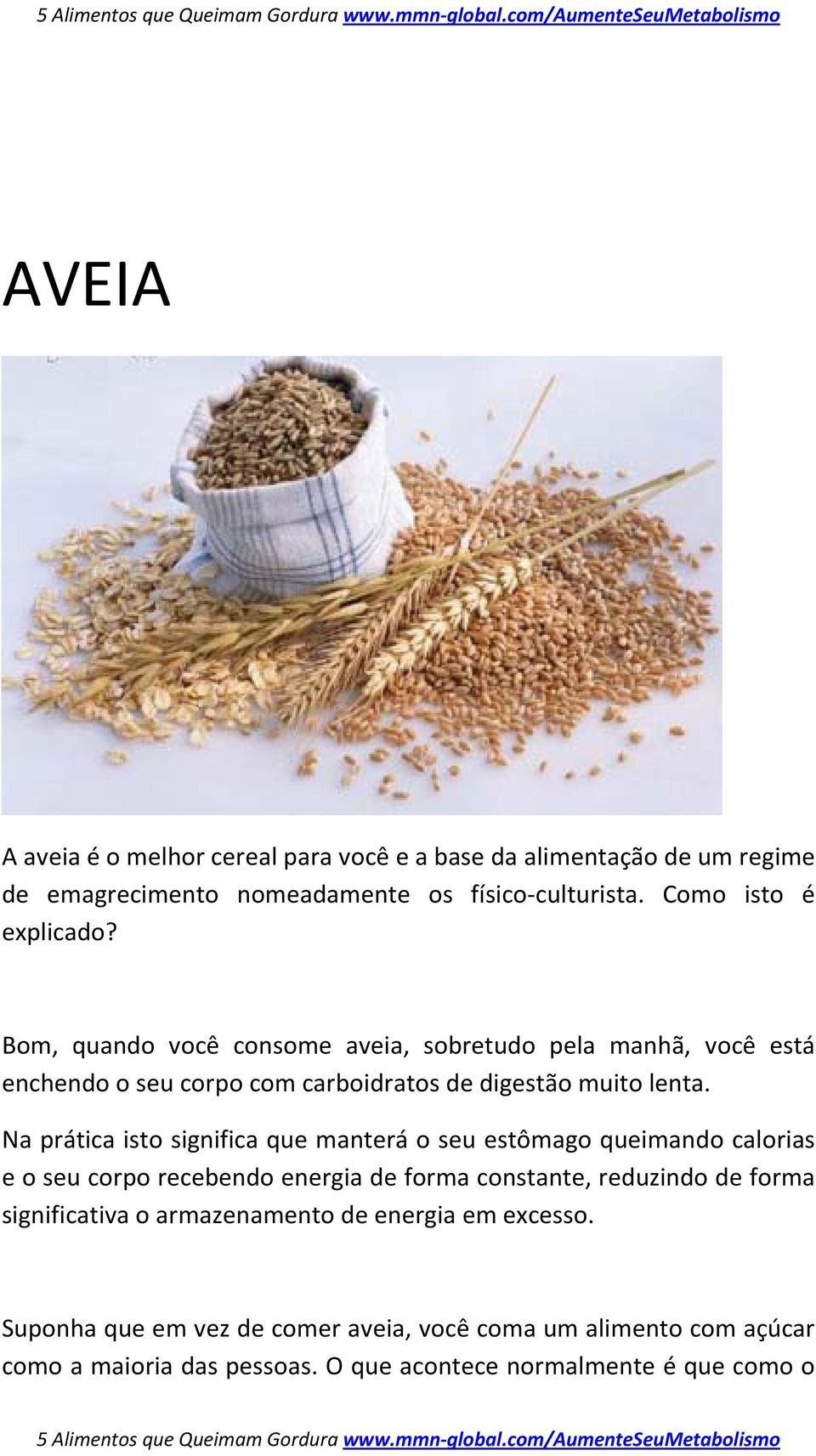 Na prática isto significa que manterá o seu estômago queimando calorias e o seu corpo recebendo energia de forma constante, reduzindo de forma