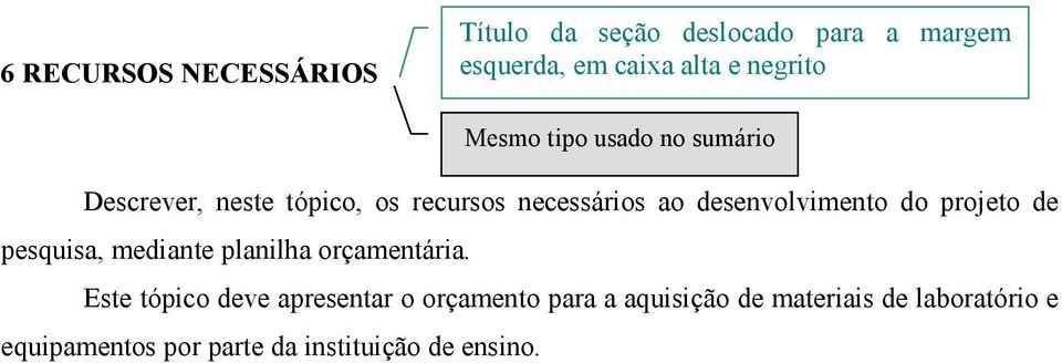 desenvolvimento do projeto de pesquisa, mediante planilha orçamentária.