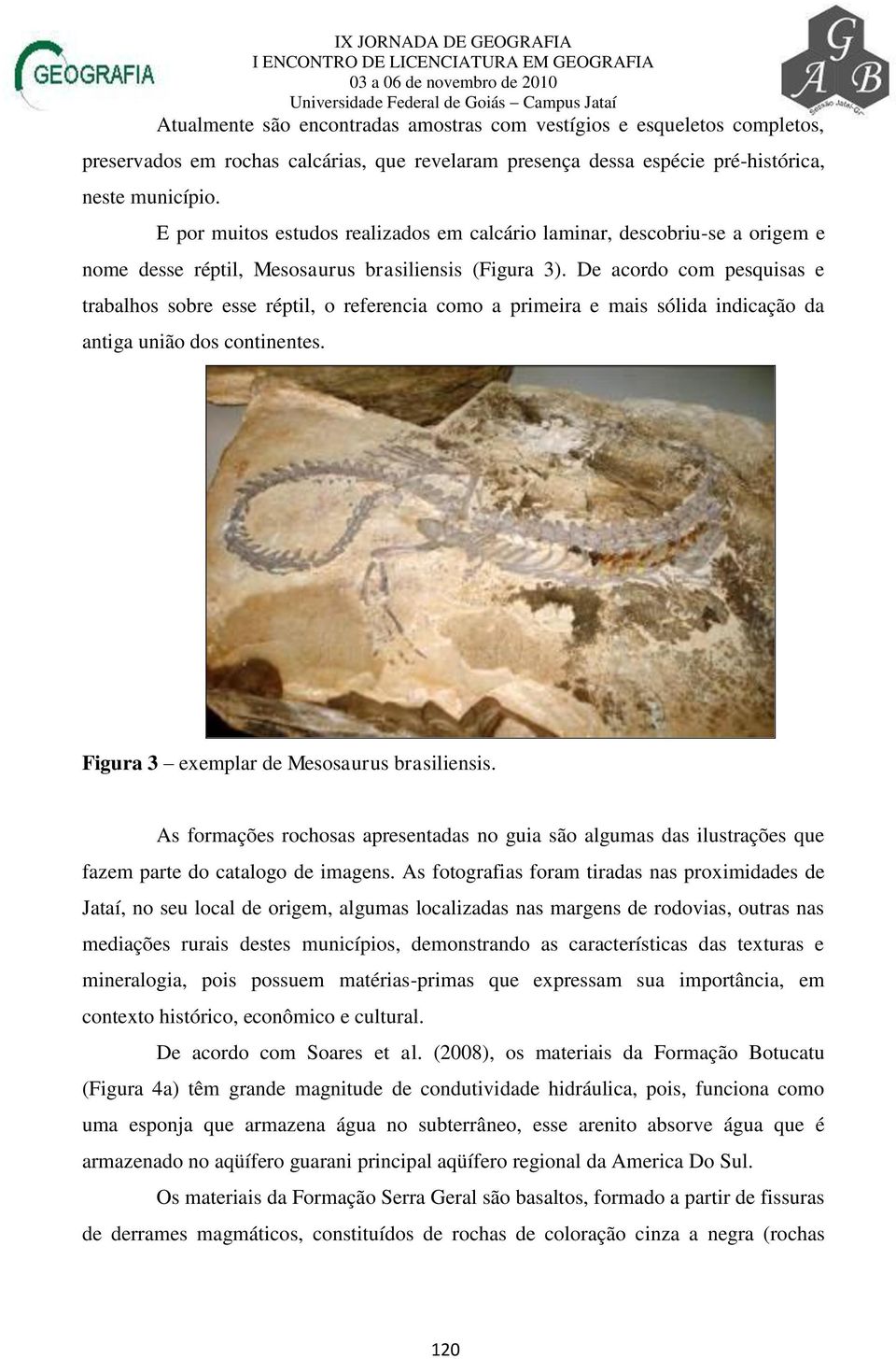 De acordo com pesquisas e trabalhos sobre esse réptil, o referencia como a primeira e mais sólida indicação da antiga união dos continentes. Figura 3 exemplar de Mesosaurus brasiliensis.