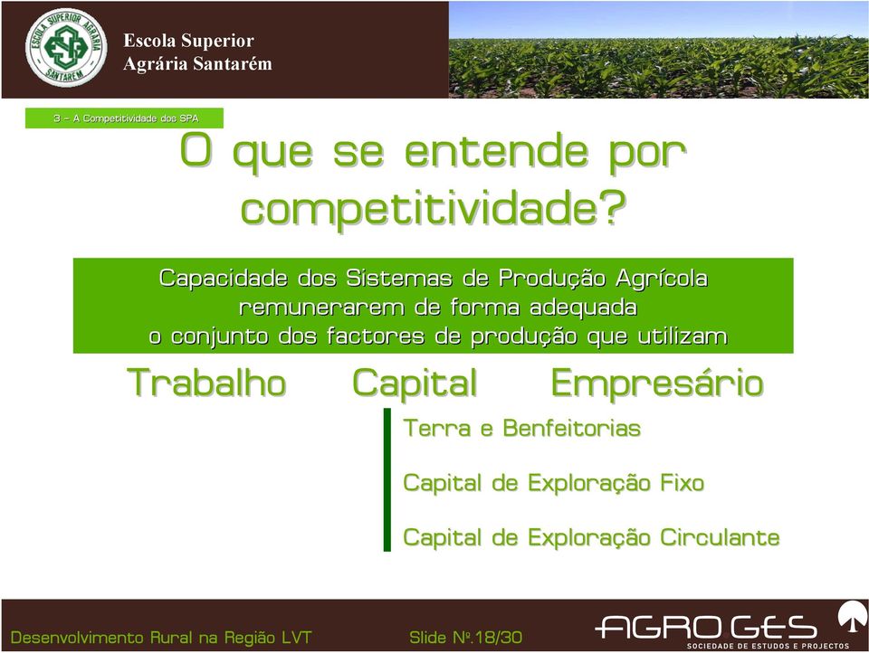 conjunto dos factores de produção que utilizam Trabalho Capital Terra e