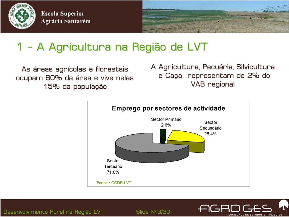 representam de 2% do VAB regional Emprego por sectores de actividade Sector