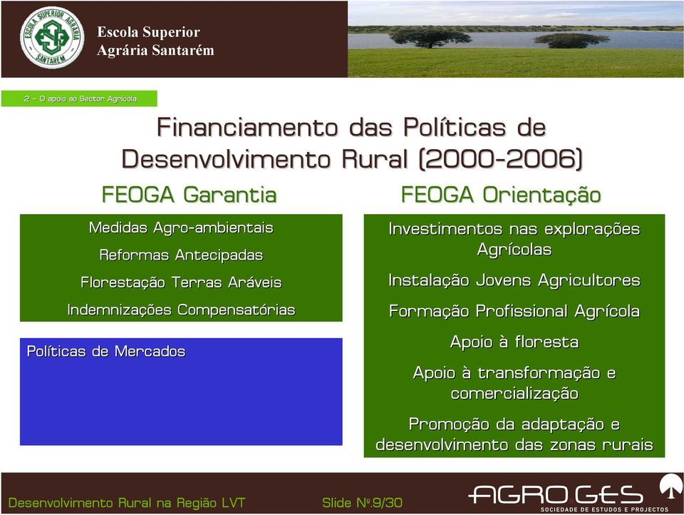 Mercados FEOGA Orientação Investimentos nas explorações Agrícolas Instalação Jovens Agricultores Formação Profissional