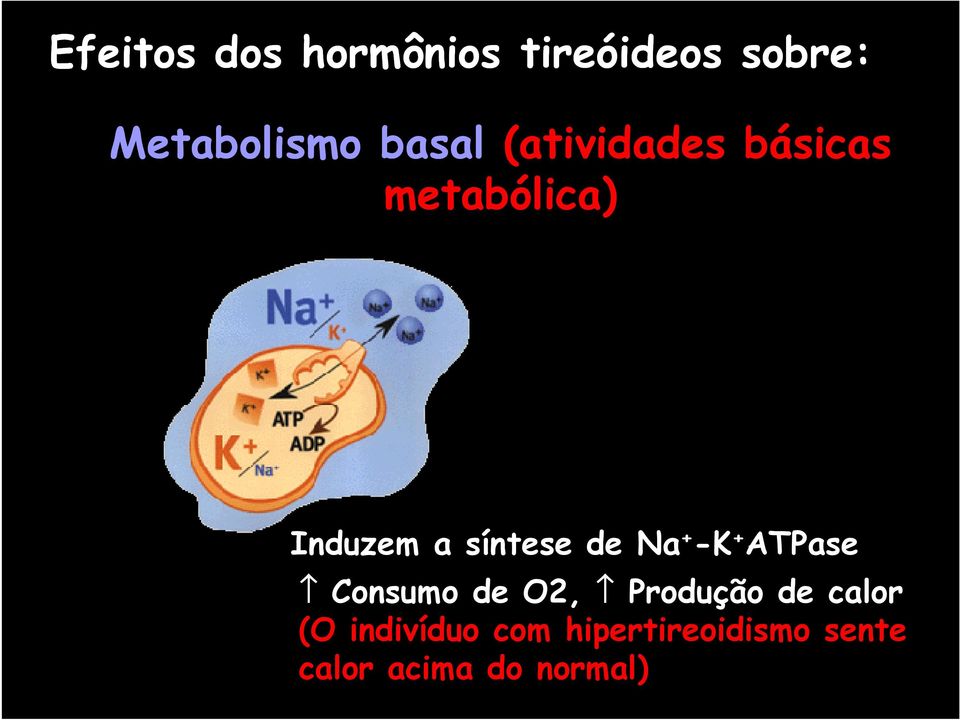 de Na + -K + ATPase Consumo de O2, Produção de calor (O