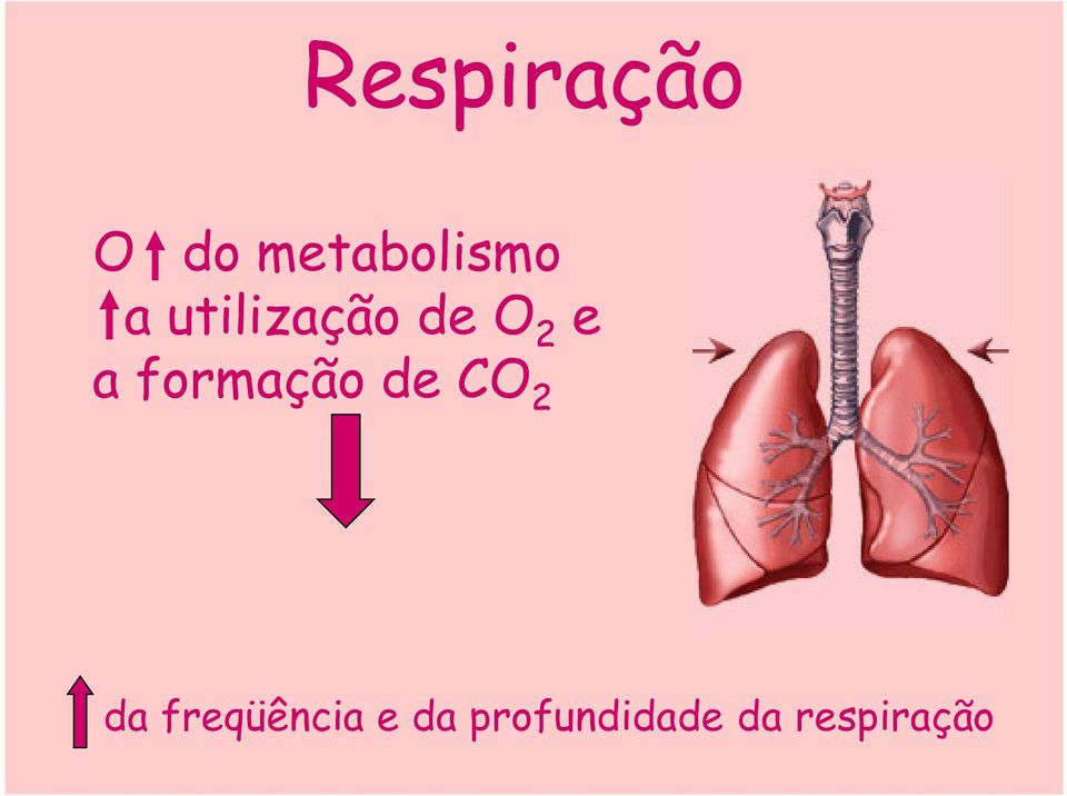 formação de CO 2 da