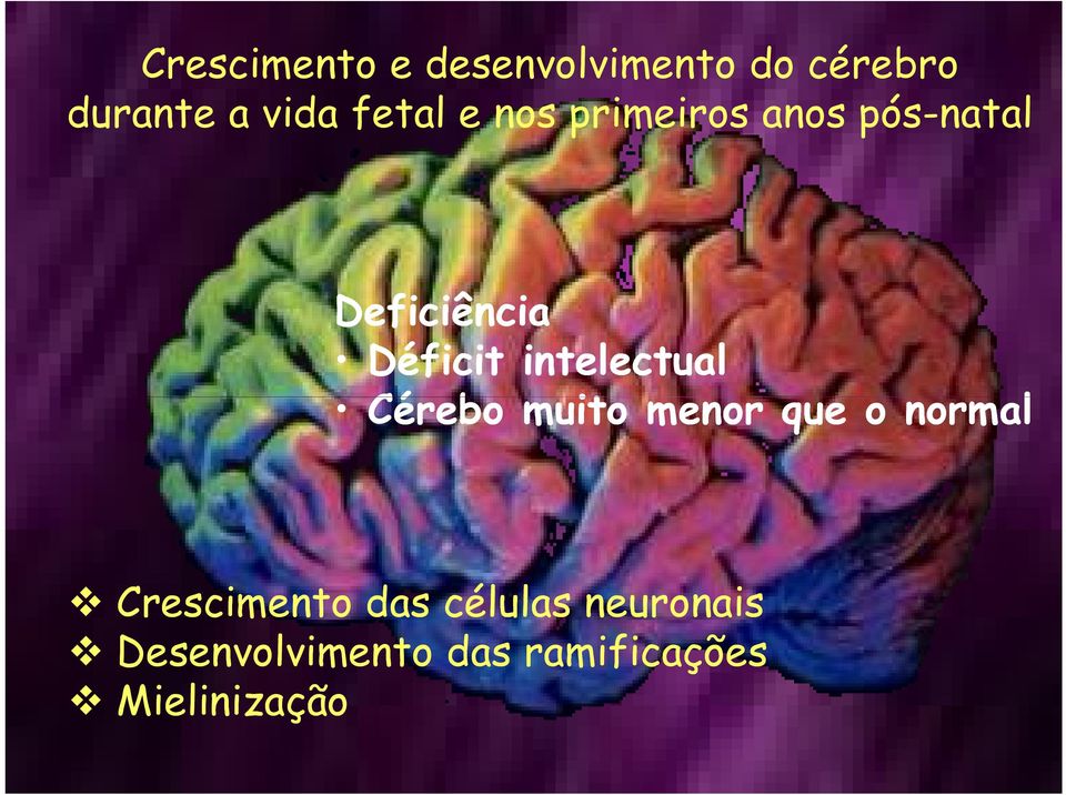 intelectual Cérebo muito menor que o normal Crescimento