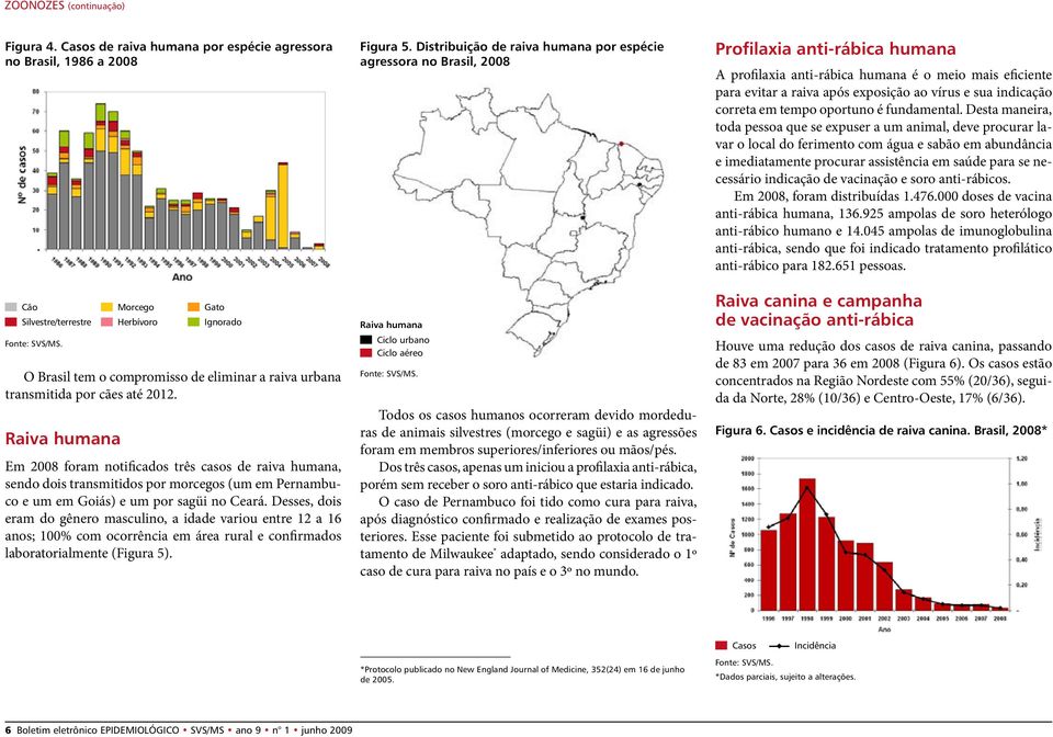 Raiva humana Em 2008 foram notificados três casos de raiva humana, sendo dois transmitidos por morcegos (um em Pernambuco e um em Goiás) e um por sagüi no Ceará.