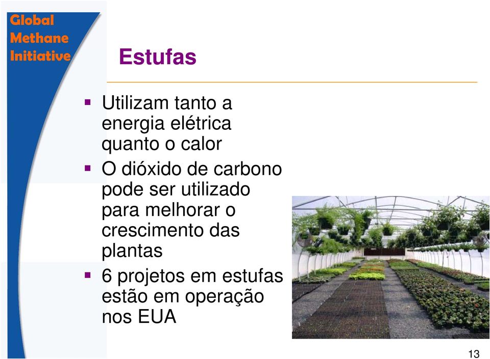 utilizado para melhorar o crescimento das