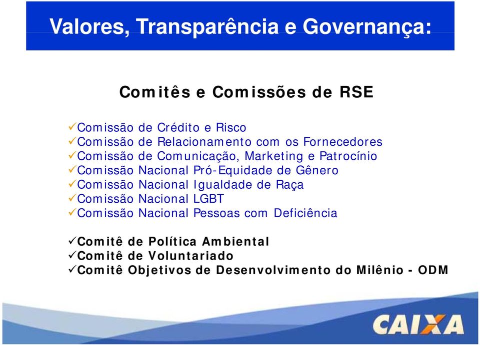 Pró-Equidade d de Gênero Comissão Nacional Igualdade de Raça Comissão Nacional LGBT Comissão Nacional Pessoas