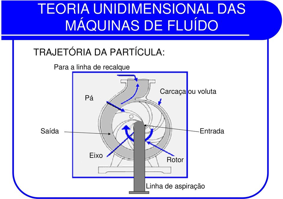 Carcaça ou voluta Saída