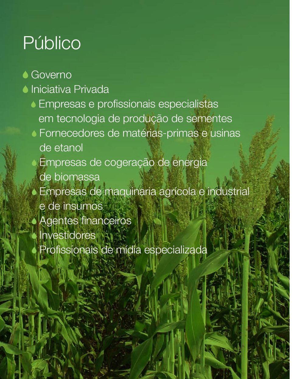 etanol Empresas de cogeração de energia de biomassa Empresas de maquinaria agrícola