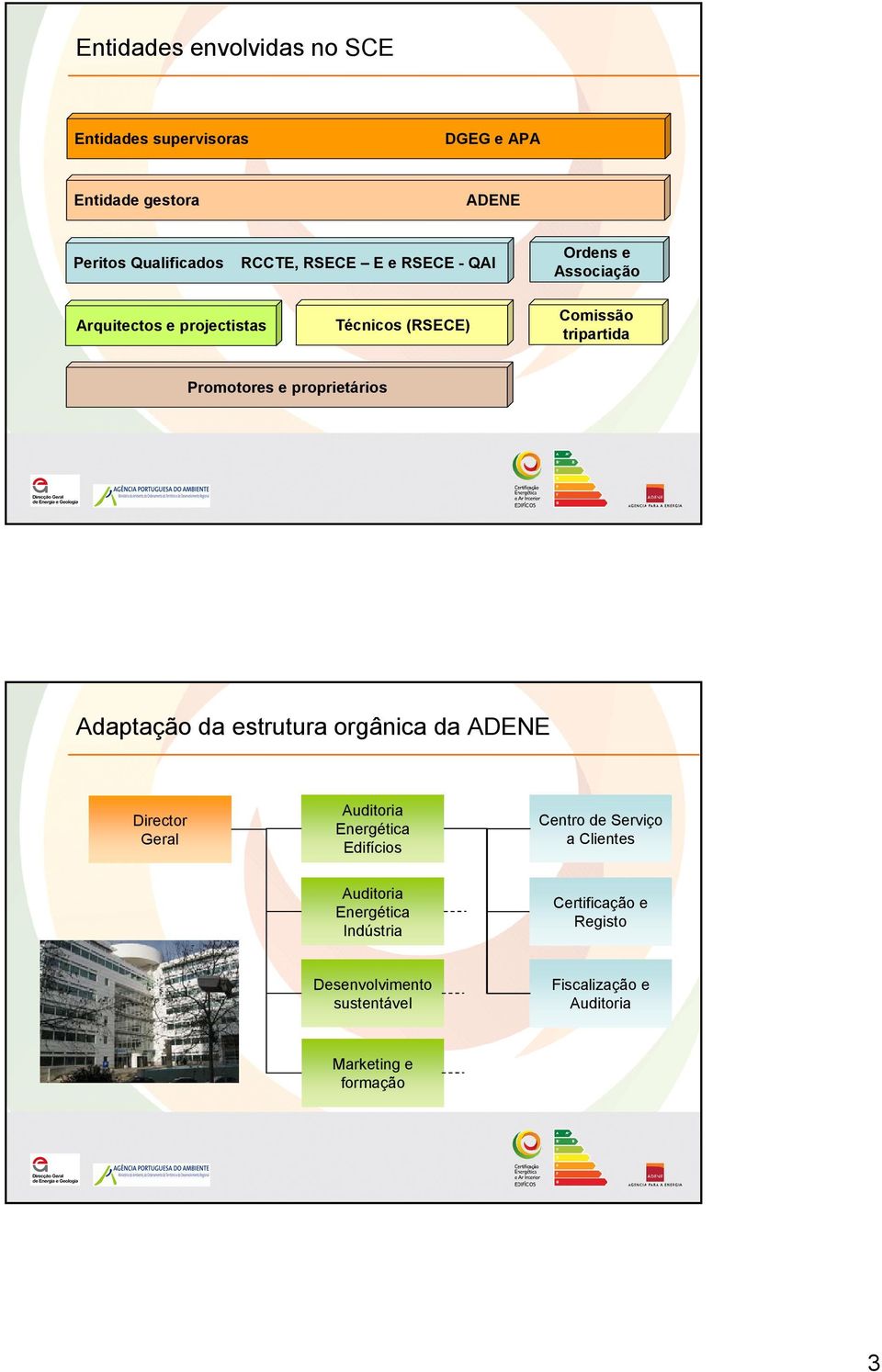 Adaptação da estrutura orgânica da ADENE Director Geral Auditoria Energética Edifícios Centro de Serviço a Clientes