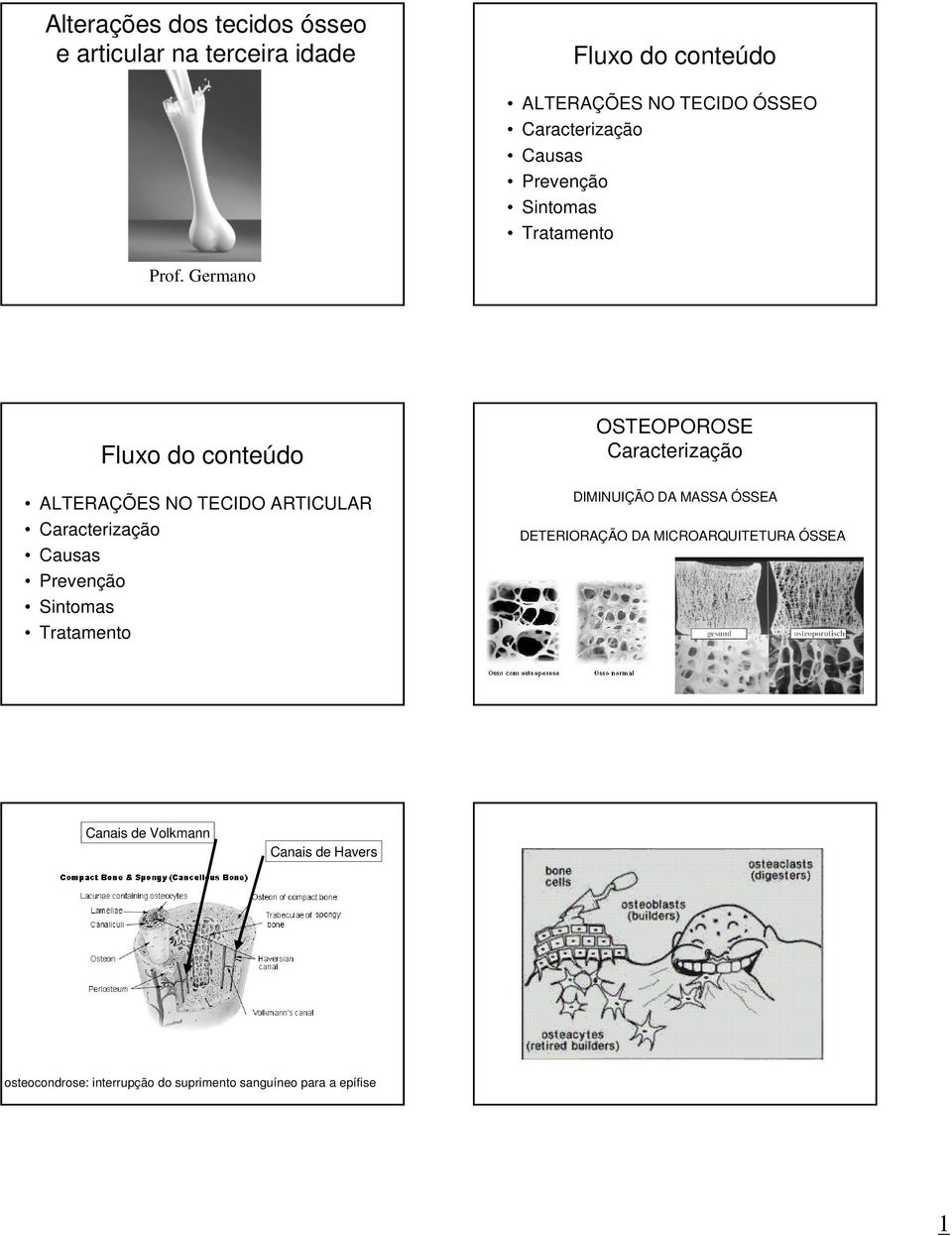 Germano Fluxo do conteúdo ALTERAÇÕES NO TECIDO ARTICULAR Prevenção Sintomas Tratamento DIMINUIÇÃO