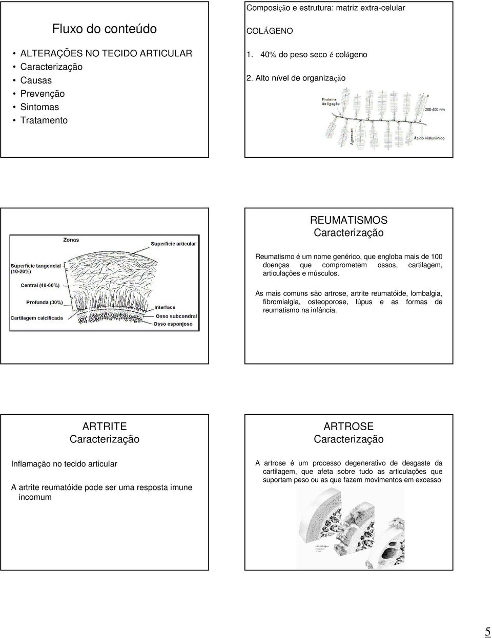 As mais comuns são artrose, artrite reumatóide, lombalgia, fibromialgia, osteoporose, lúpus e as formas de reumatismo na infância.