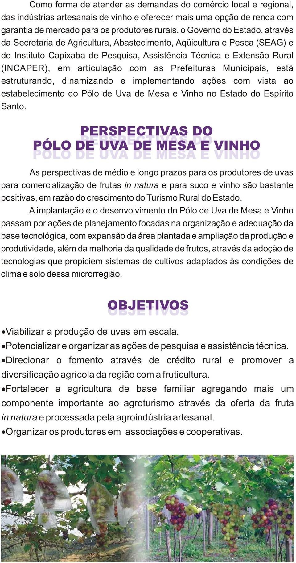 Prefeituras Municipais, está estruturando, dinamizando e implementando ações com vista ao estabelecimento do Pólo de Uva de Mesa e Vinho no Estado do Espírito Santo.