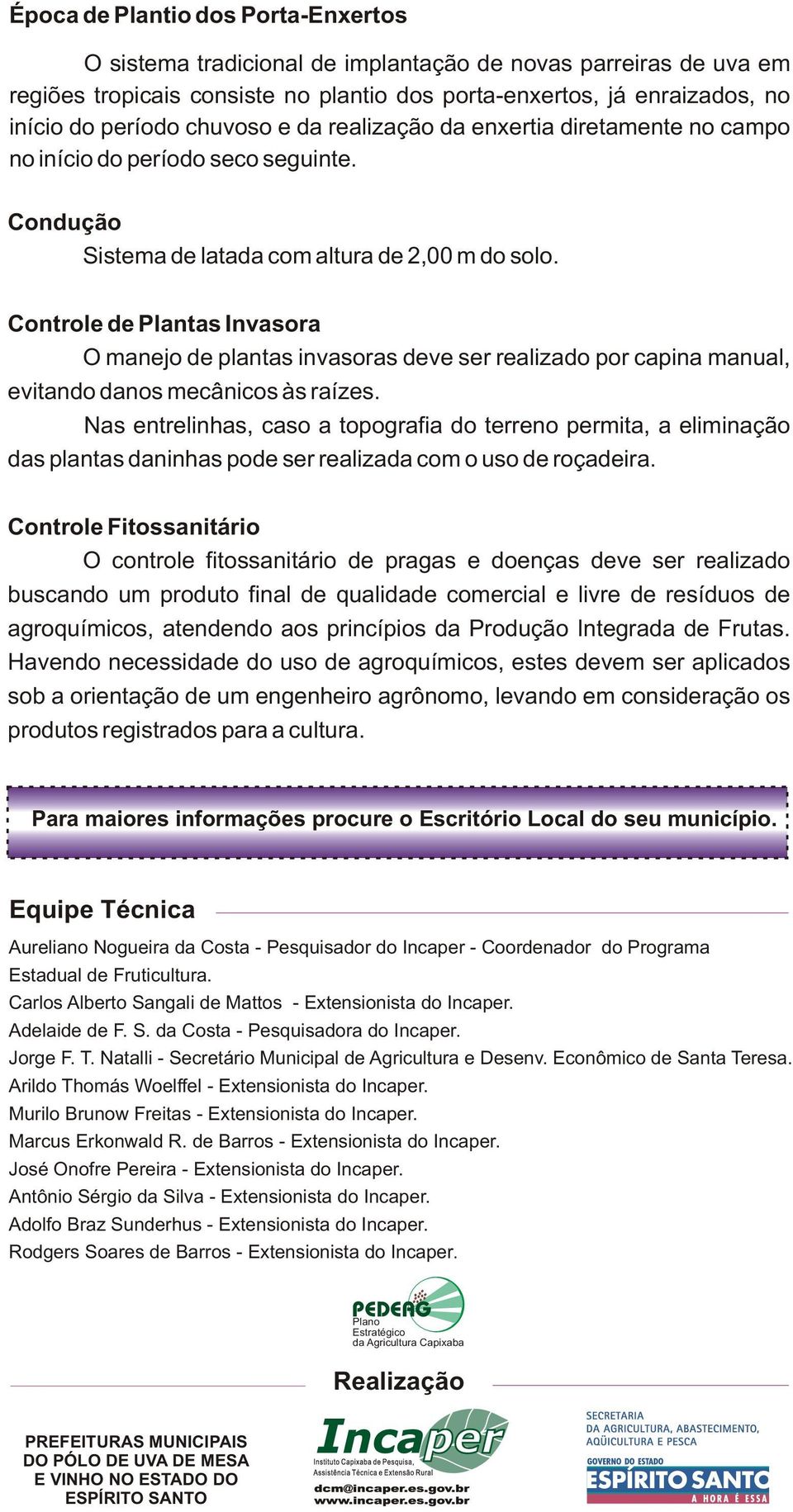 Controle de Plantas Invasora O manejo de plantas invasoras deve ser realizado por capina manual, evitando danos mecânicos às raízes.