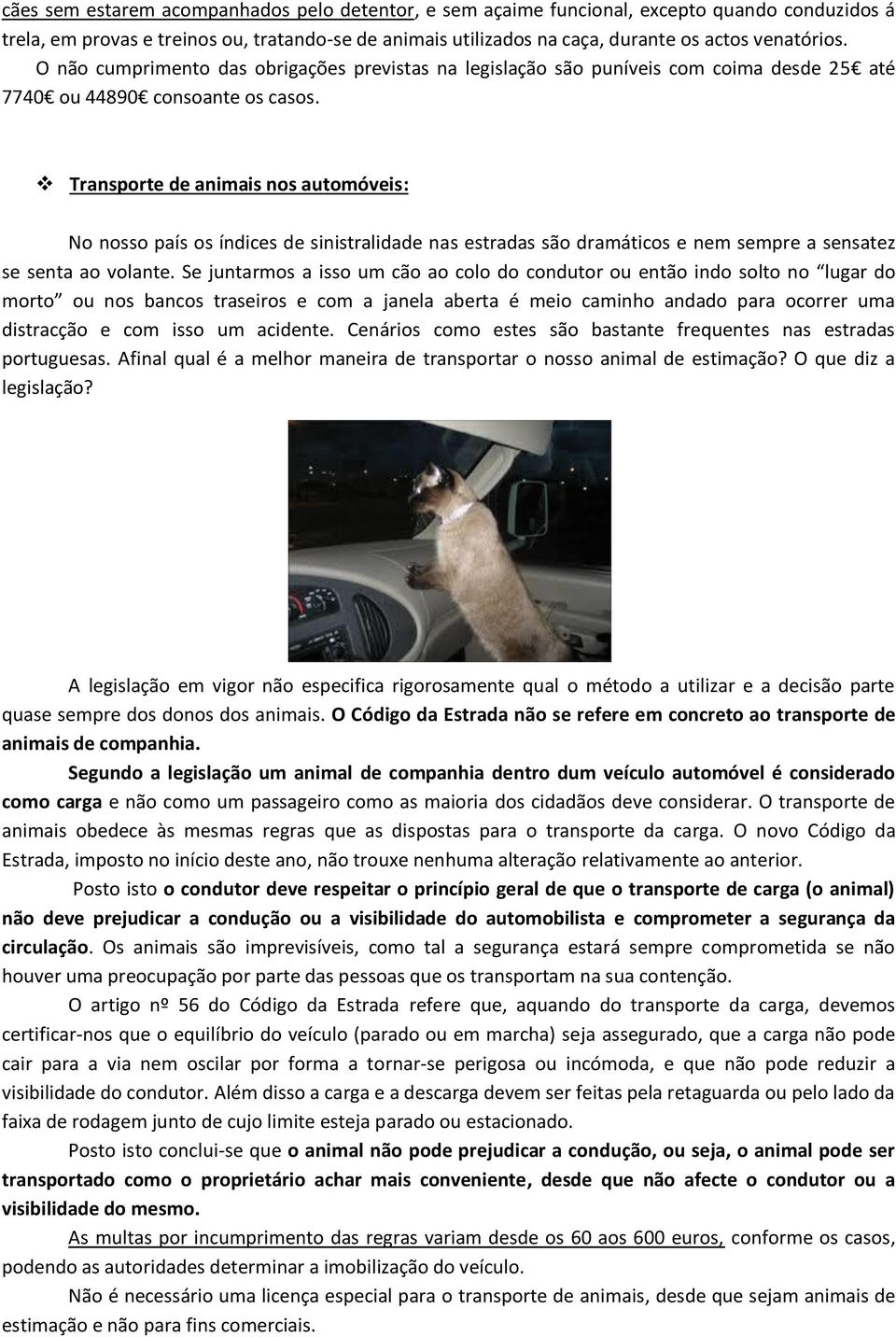 Transporte de animais nos automóveis: No nosso país os índices de sinistralidade nas estradas são dramáticos e nem sempre a sensatez se senta ao volante.