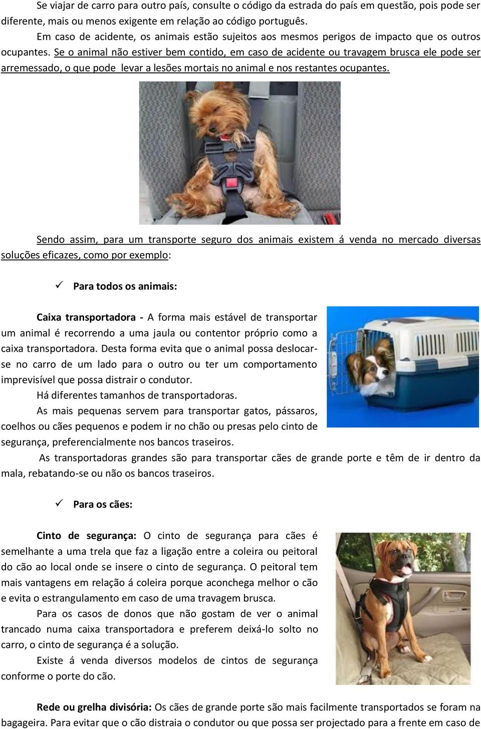 Se o animal não estiver bem contido, em caso de acidente ou travagem brusca ele pode ser arremessado, o que pode levar a lesões mortais no animal e nos restantes ocupantes.