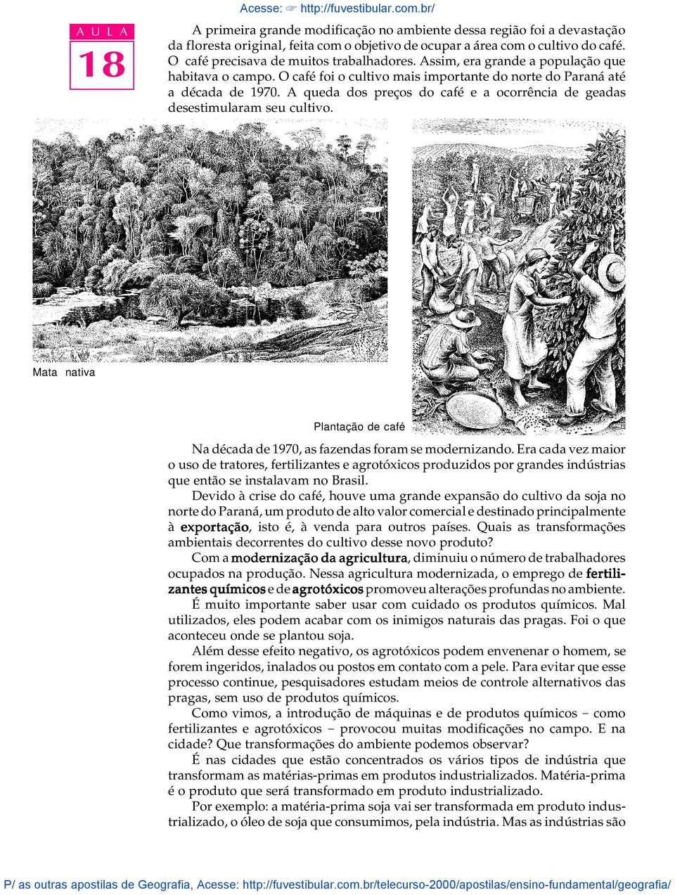 A queda dos preços do café e a ocorrência de geadas desestimularam seu cultivo. Mata nativa Plantação de café Na década de 1970, as fazendas foram se modernizando.