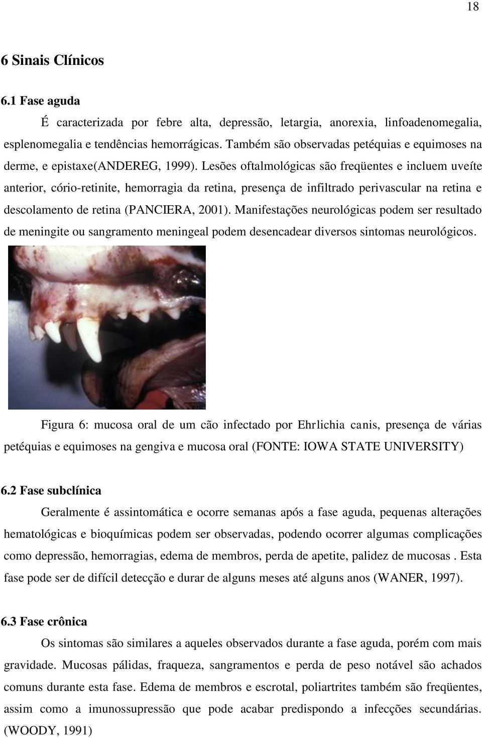 Lesões oftalmológicas são freqüentes e incluem uveíte anterior, cório-retinite, hemorragia da retina, presença de infiltrado perivascular na retina e descolamento de retina (PANCIERA, 2001).