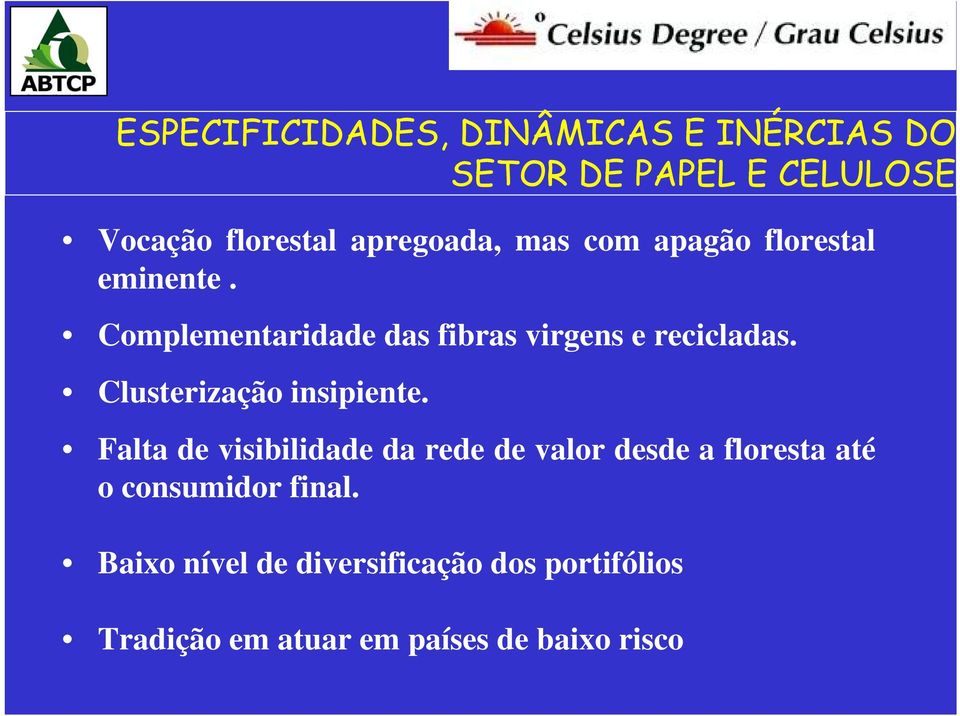 Complementaridade das fibras virgens e recicladas. Clusterização insipiente.