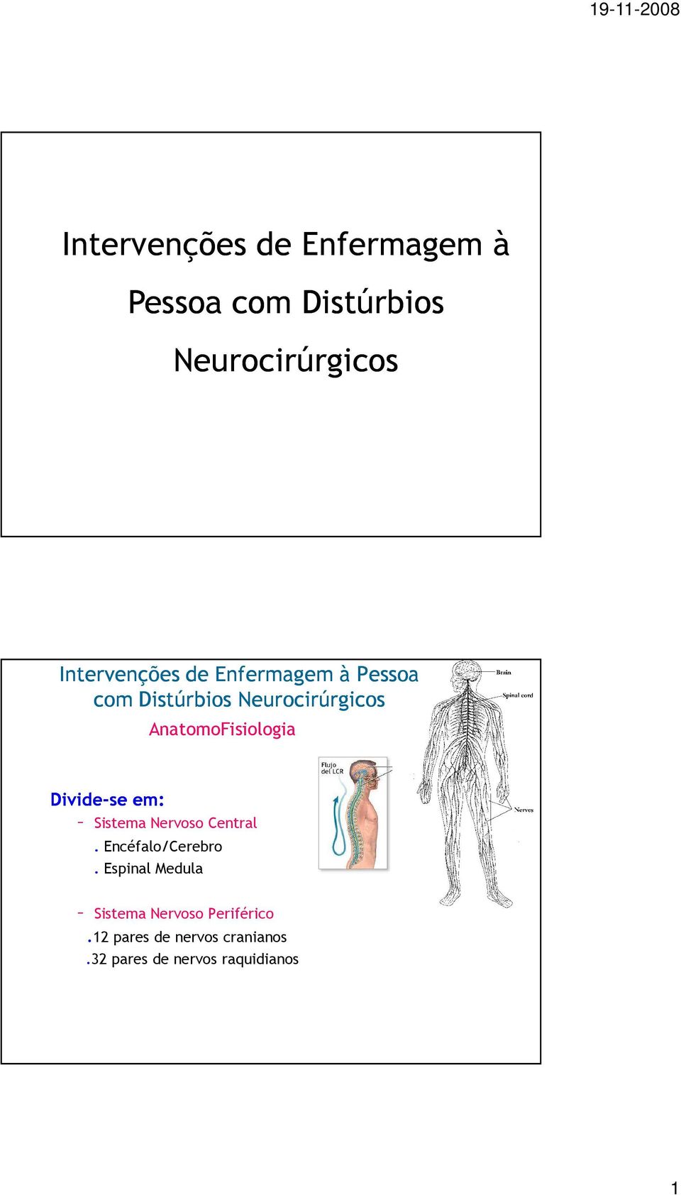 Espinal Medula Sistema Nervoso Periférico.12 pares de nervos cranianos.