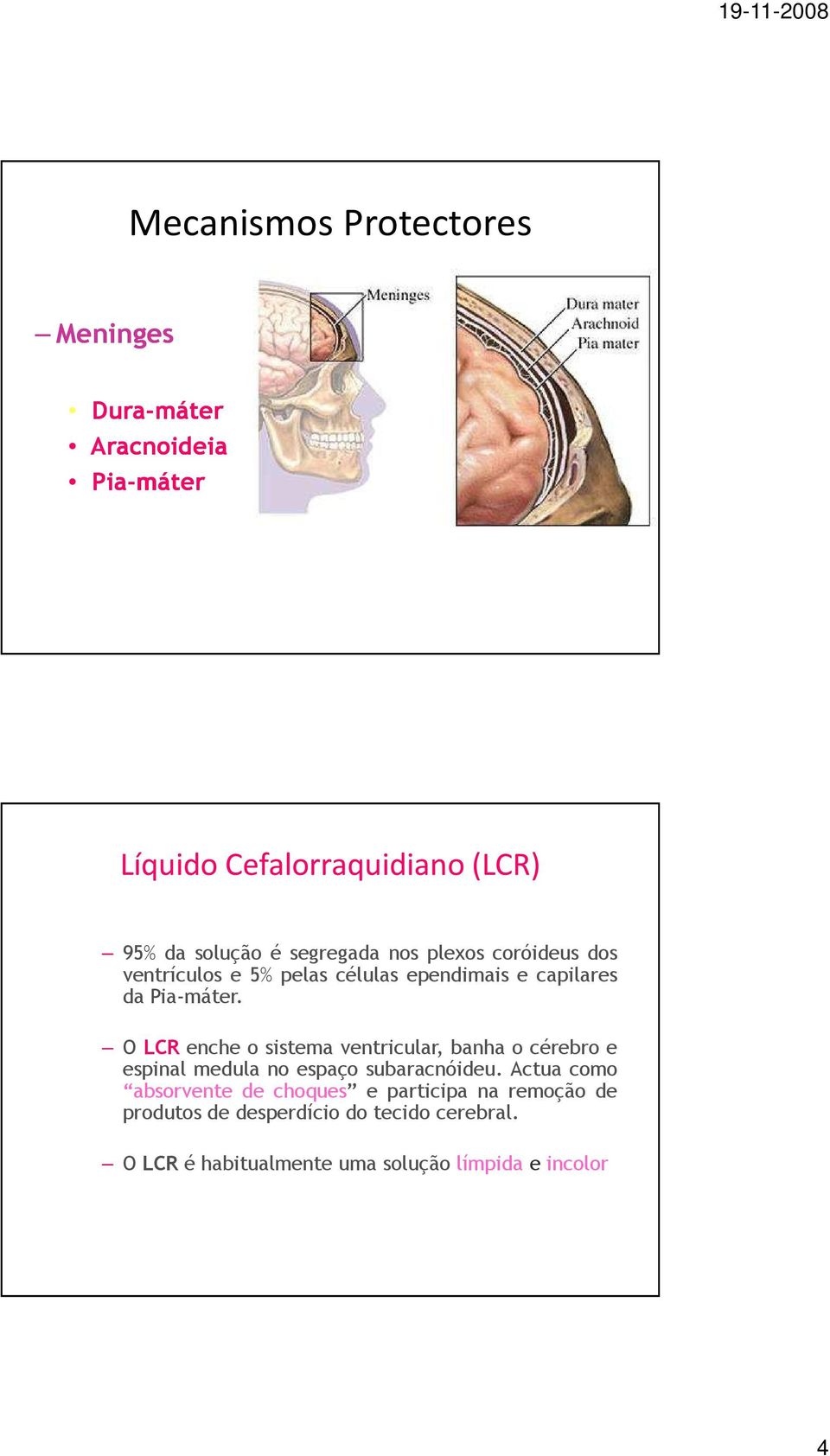 O LCR enche o sistema ventricular, banha o cérebro e espinal medula no espaço subaracnóideu.