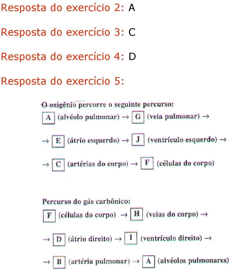 Resposta do exercício 4: D