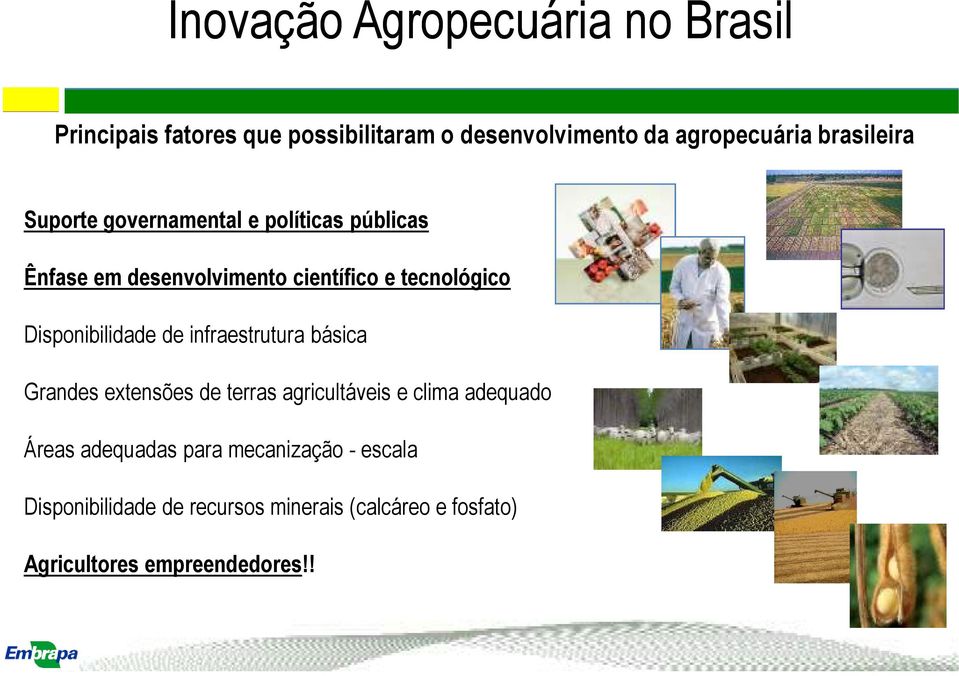 Disponibilidade de infraestrutura básica Grandes extensões de terras agricultáveis e clima adequado Áreas