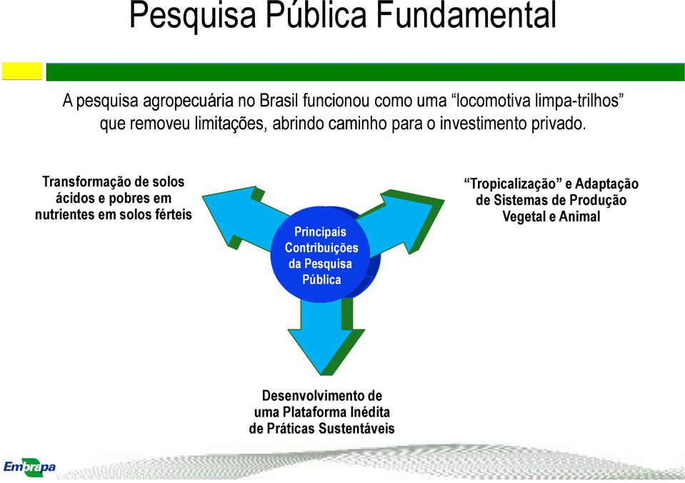 Transformação de solos ácidos e pobres em nutrientes em solos férteis Principais Contribuições Prioridades