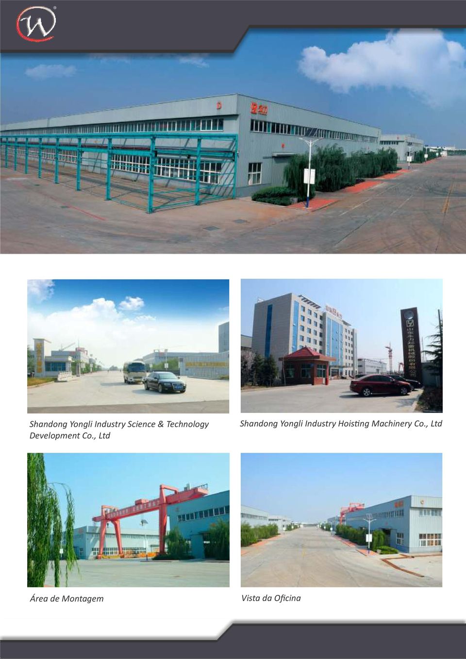 , Ltd Shandong Yongli Industry Hois