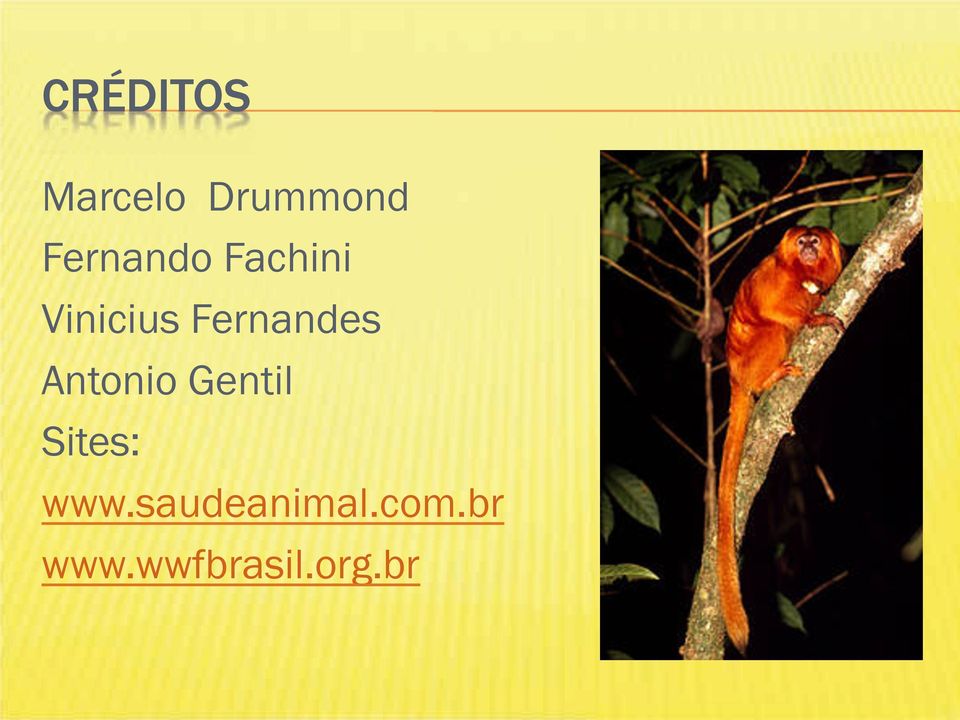 Fernandes Antonio Gentil Sites: