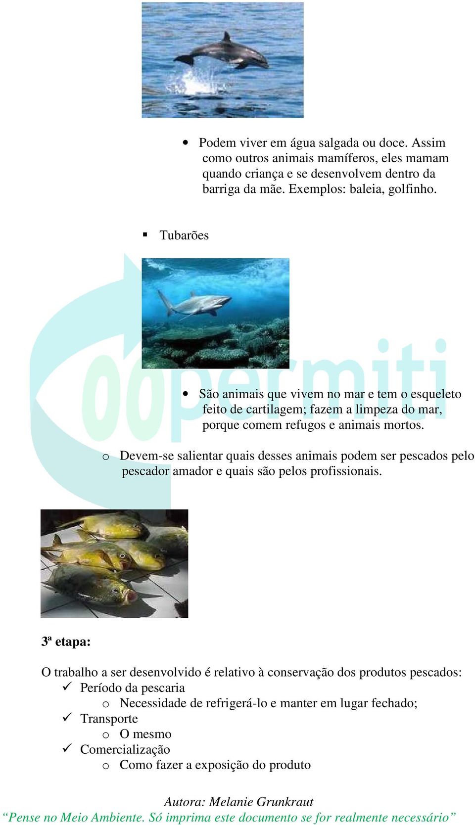 Tubarões São animais que vivem no mar e tem o esqueleto feito de cartilagem; fazem a limpeza do mar, porque comem refugos e animais mortos.