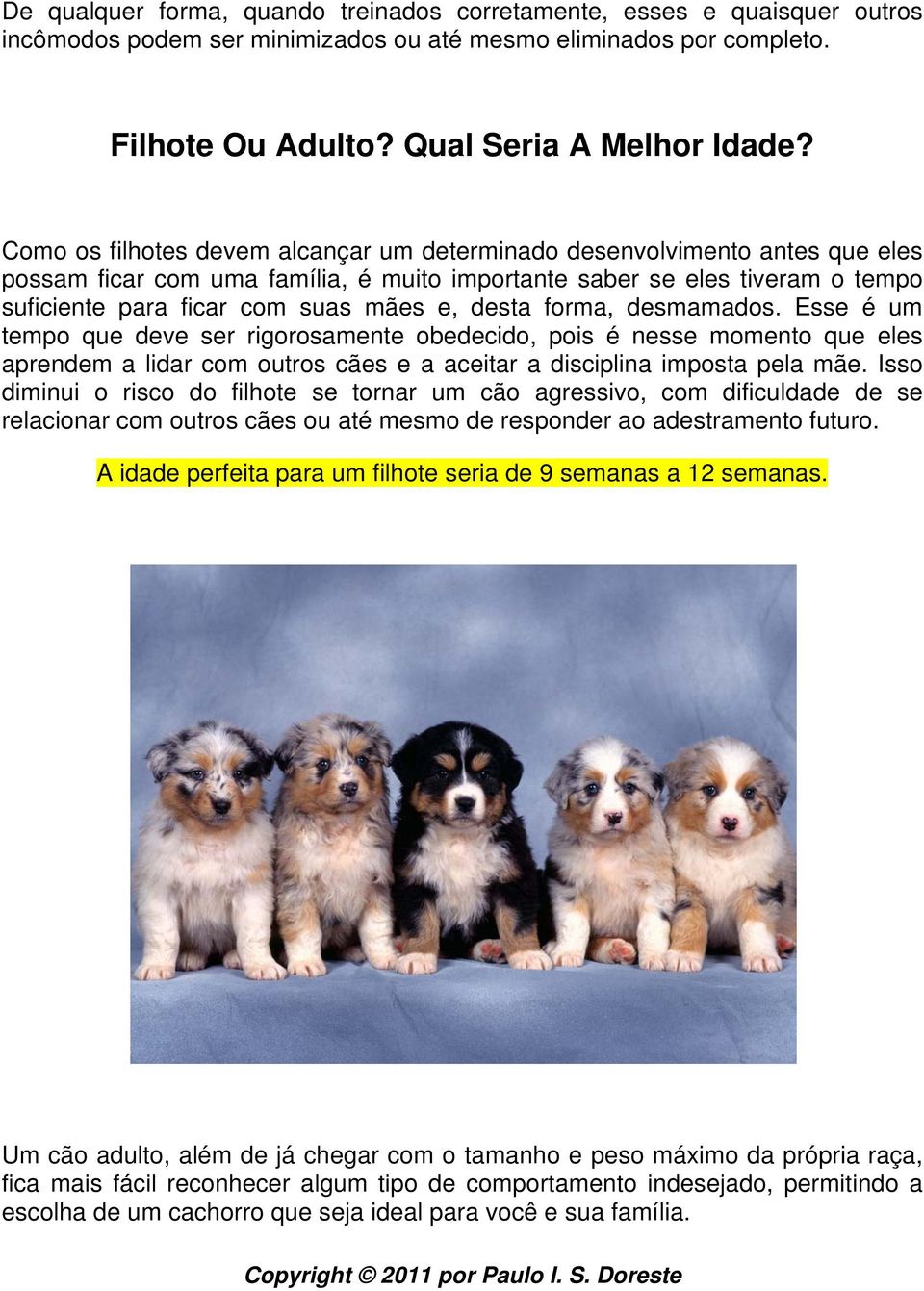 desta forma, desmamados. Esse é um tempo que deve ser rigorosamente obedecido, pois é nesse momento que eles aprendem a lidar com outros cães e a aceitar a disciplina imposta pela mãe.