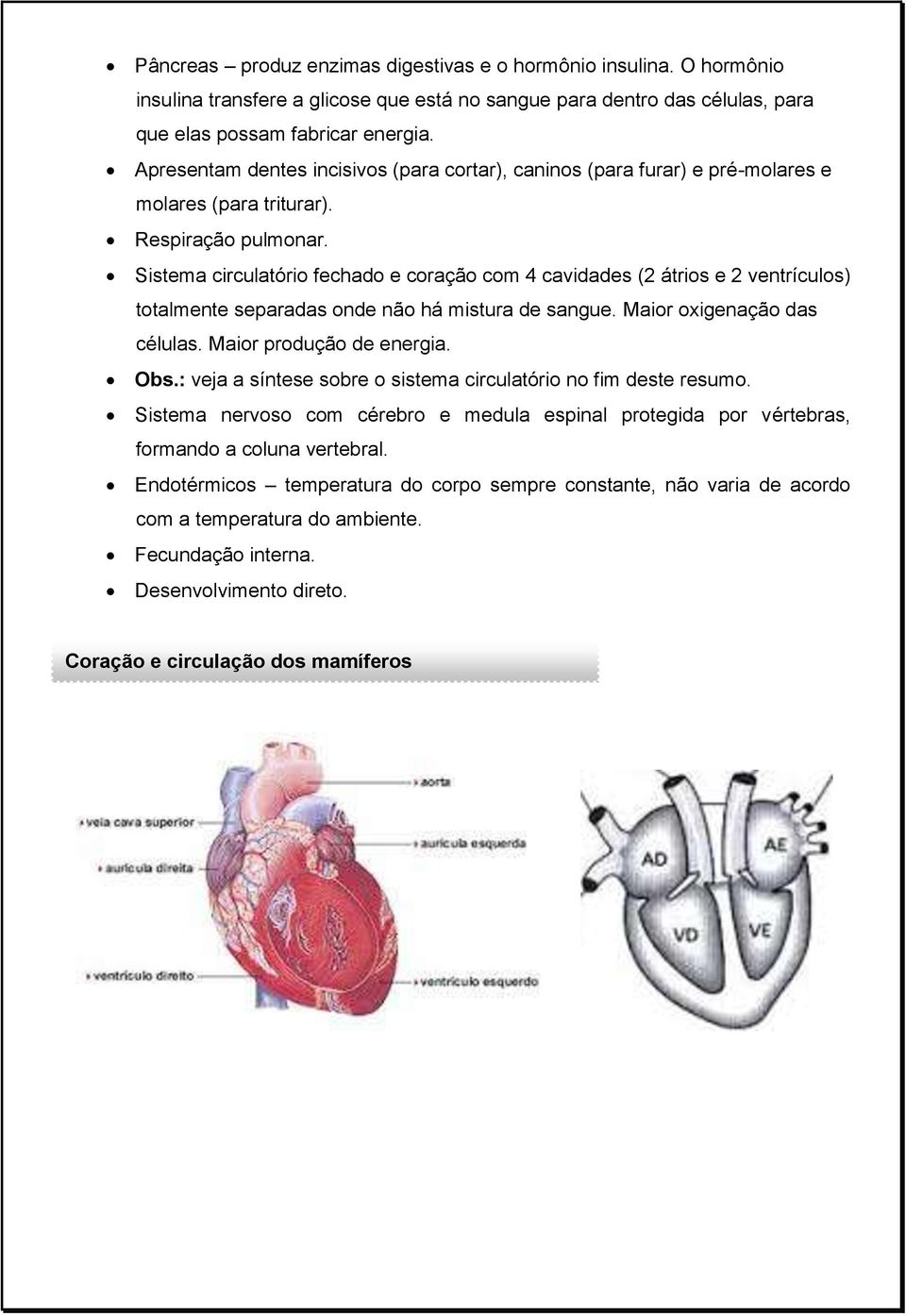 Sistema circulatório fechado e coração com 4 cavidades (2 átrios e 2 ventrículos) totalmente separadas onde não há mistura de sangue. Maior oxigenação das células. Maior produção de energia. Obs.