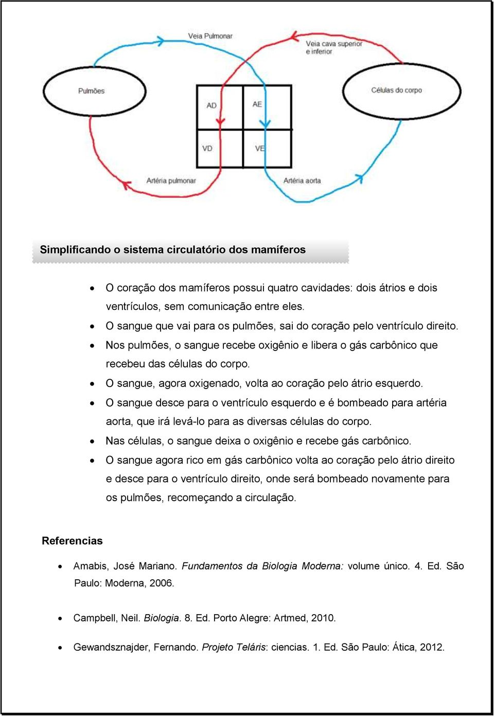 O sangue, agora oxigenado, volta ao coração pelo átrio esquerdo. O sangue desce para o ventrículo esquerdo e é bombeado para artéria aorta, que irá levá-lo para as diversas células do corpo.