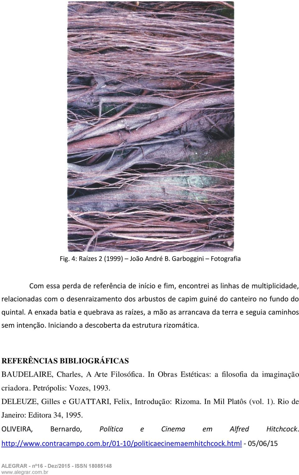 quintal. A enxada batia e quebrava as raízes, a mão as arrancava da terra e seguia caminhos sem intenção. Iniciando a descoberta da estrutura rizomática.