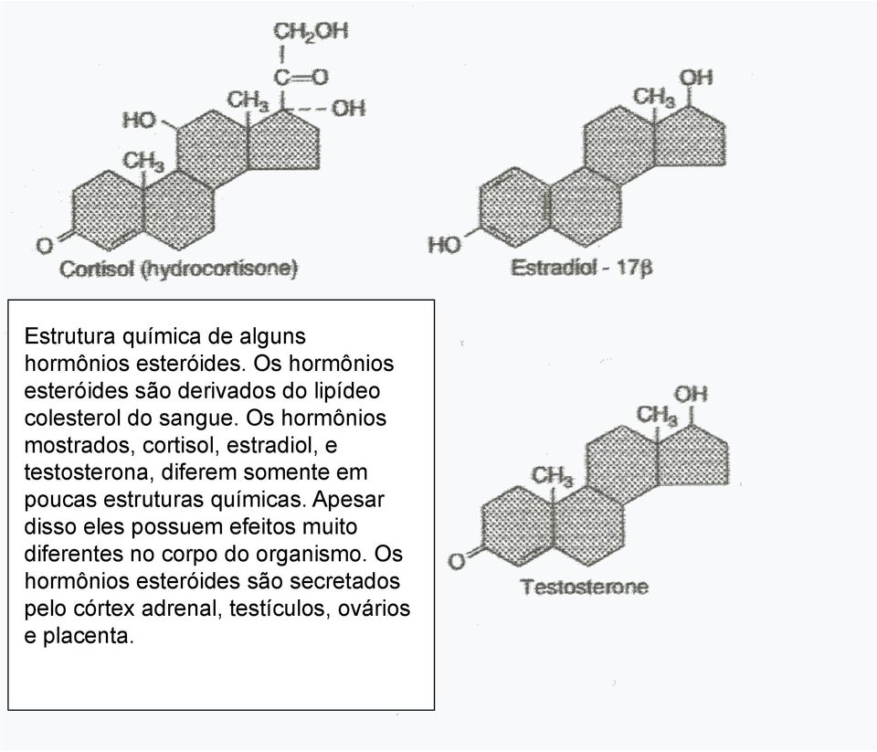 Os hormônios mostrados, cortisol, estradiol, e testosterona, diferem somente em poucas estruturas
