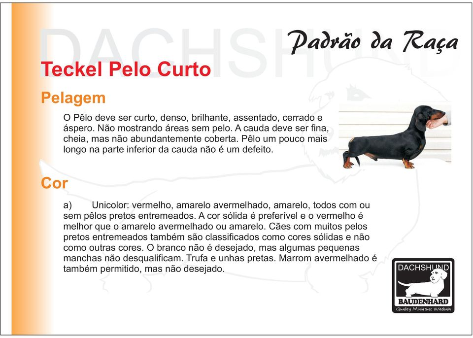 a) Unicolor: vermelho, amarelo avermelhado, amarelo, todos com ou sem pêlos pretos entremeados.